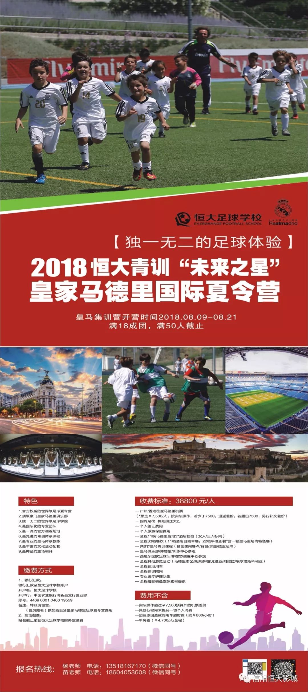 今晚一肖中特，揭秘精准预测的奥秘一肖中特今晚期期准310期资料