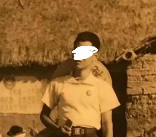 揭秘四肖选一中的中特之道—深度解析与策略分享四肖选一肖中特特官方版预约