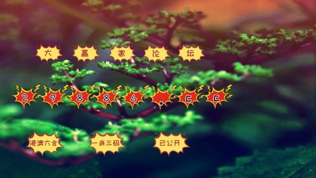 澳门一肖与精准预测，揭秘背后的数字奥秘澳门一肖一码澳门跑狗