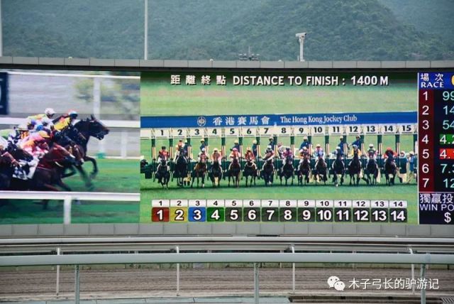 探秘香港马会，全年资料大全的深度解析香港2021年马会资料大全