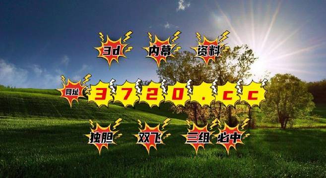2043年，新澳开奖结果—数字时代的幸运与机遇2024新澳开奖结果查询今天开奖号码