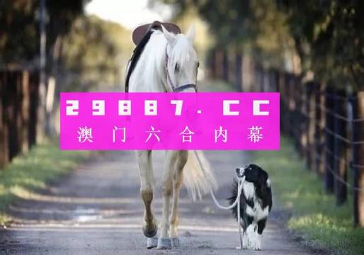 探索49码资料图库，解锁数字时代的编码奥秘49码资料图库走势图