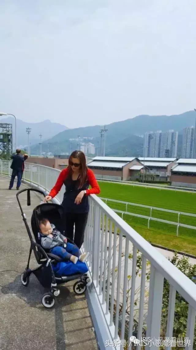 探索香港正版马会精选资料大全，揭秘赛马的智慧与魅力香港正版马会精选资料大全福利彩票双色球