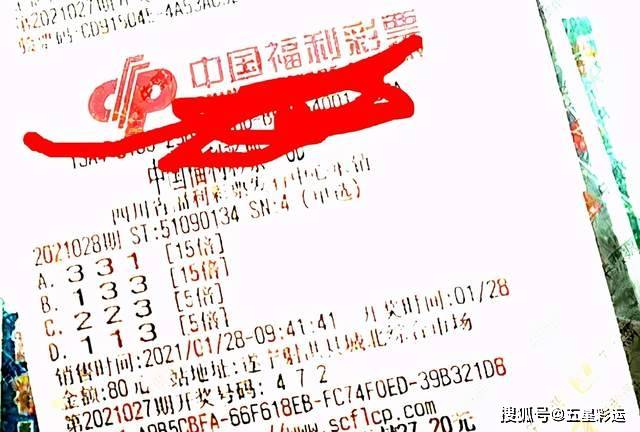 揭秘平特一肖公式，理性与迷信的边界平特一肖公式永久性