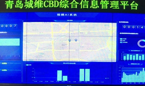 探索二肖3码的奥秘，数字背后的智慧与乐趣必中2肖二码