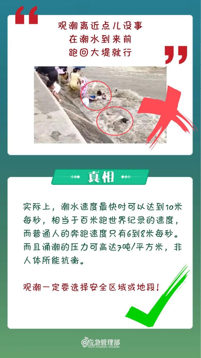 管家婆一码中奖，揭秘背后的真相与警示管家婆期期中奖