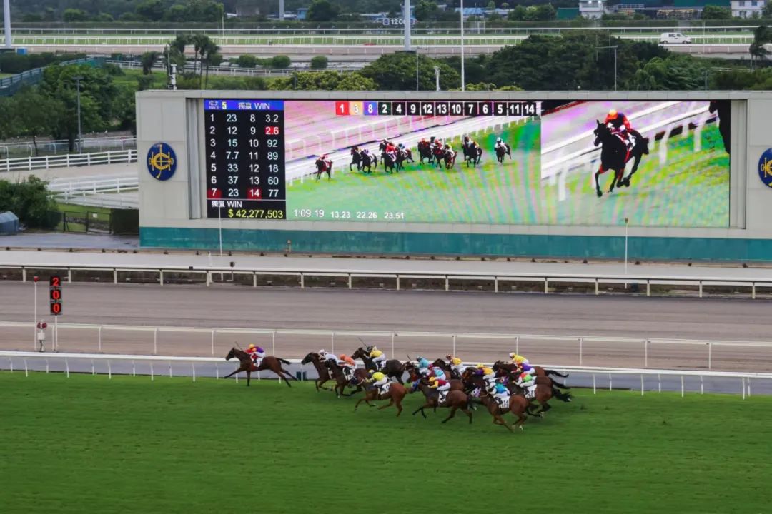 2018香港马会全年资料大全，回顾与展望香港2021年马会资料