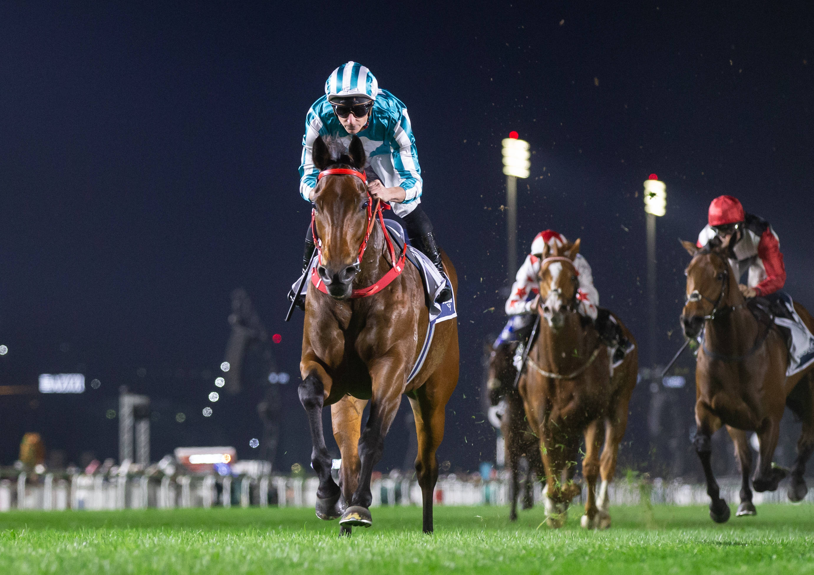 2018香港马年赛事全回顾，激情与荣耀的交织最准的香港马资料2020