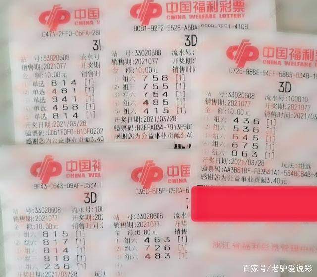 澳门今晚开奖揭秘，新一期彩票的期待与惊喜新澳门今晚开奖结果 开奖号码