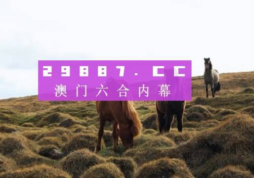 澳门新开奖记录，探索最新中彩奇迹新澳门最新开奖记录查询表
