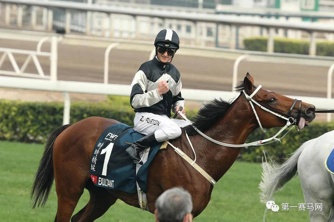 2019香港马会资料大全，免费获取与深度解析香港2021年马会资料大全