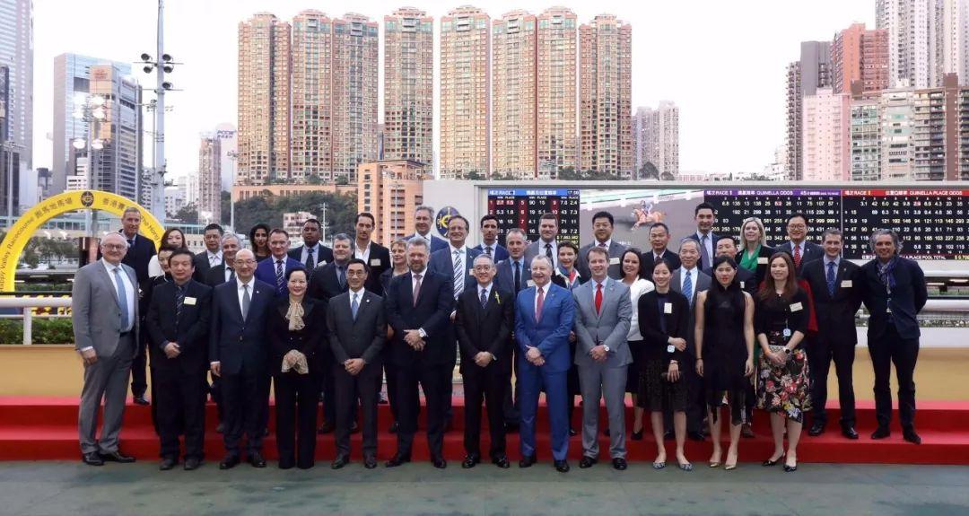 探索香港马会免费资料大全，解锁知识与娱乐的宝藏