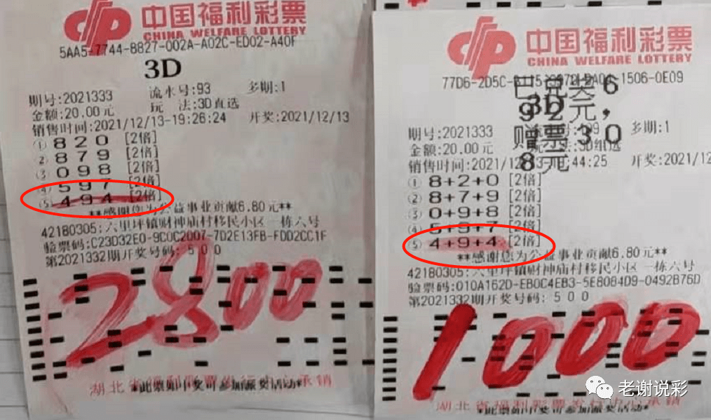 二四六天天好彩—每期文字賧料，揭秘彩票背后的智慧与乐趣