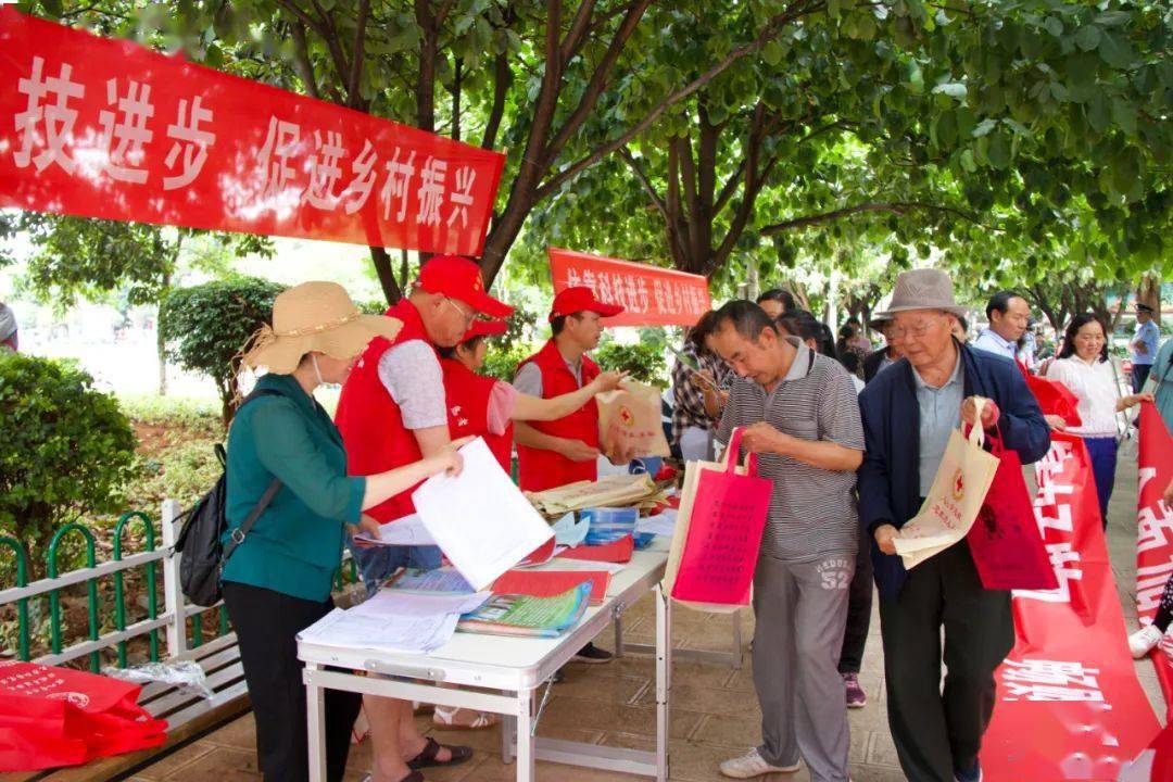 探索香港本港最快开奖结果，揭秘背后的技术与意义香港本港最快开奖结果233期