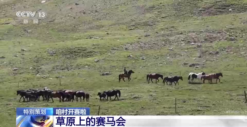 武侯新城 第84页