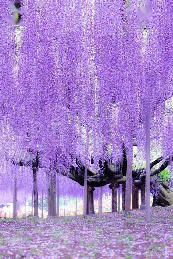 彩天堂，梦幻般的色彩世界彩天堂软件