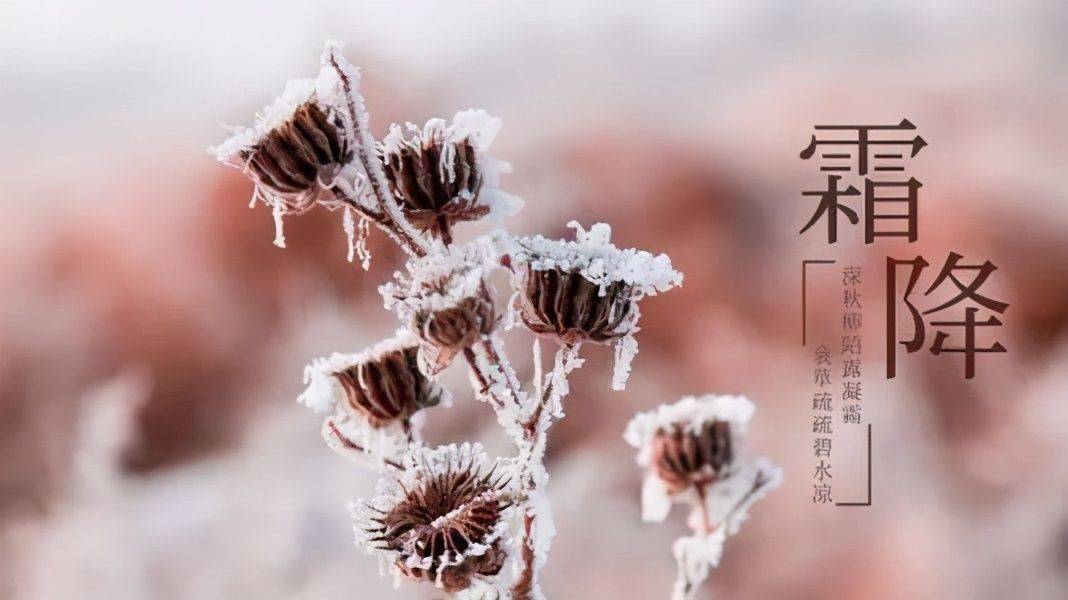 霜降，秋的尾声，冬的前奏霜降是什么时候