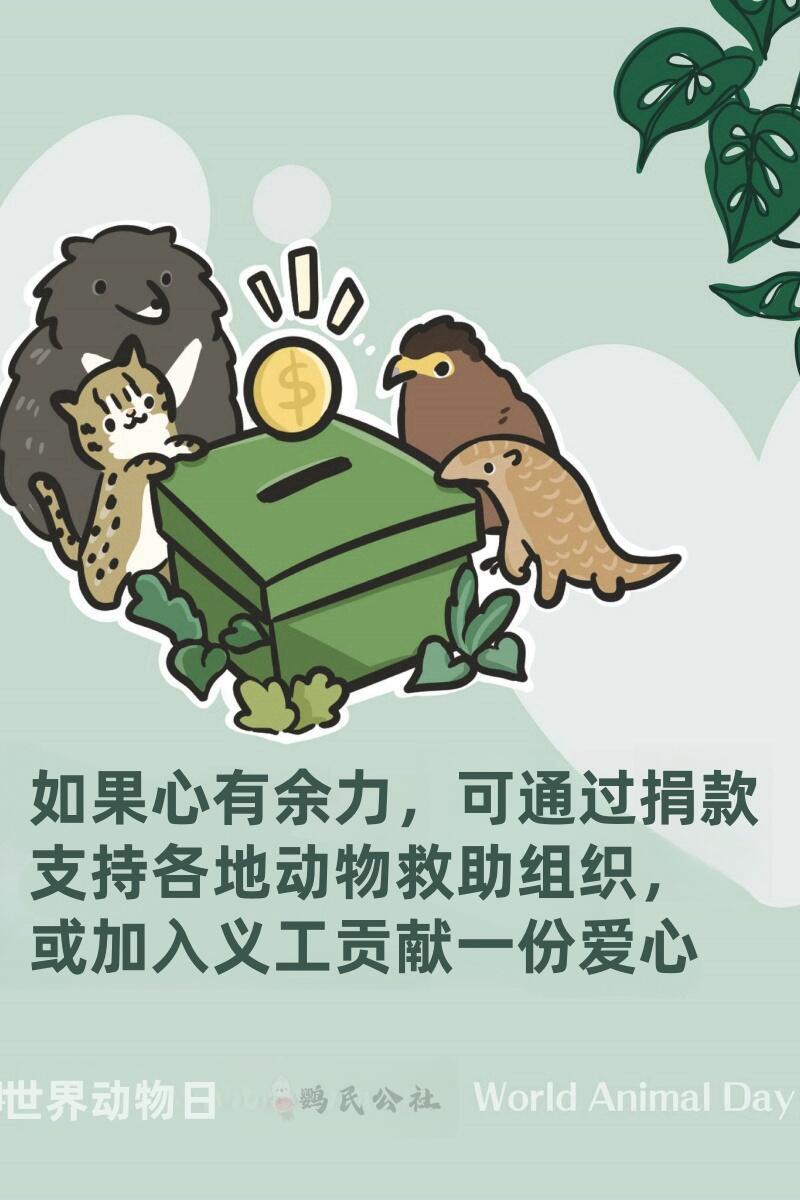 武侯新城 第74页