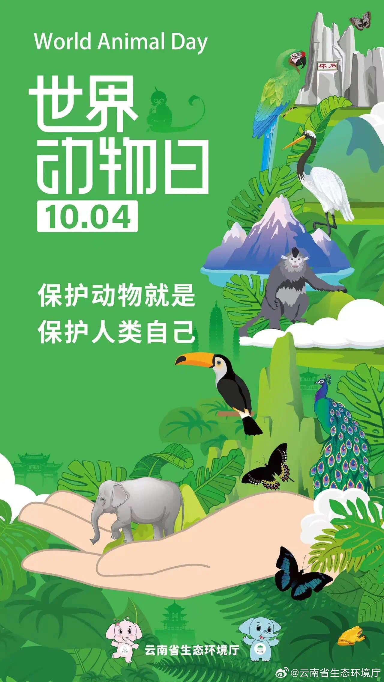 探索与保护，世界动物日宗旨的深度解析世界动物日的目的是什么