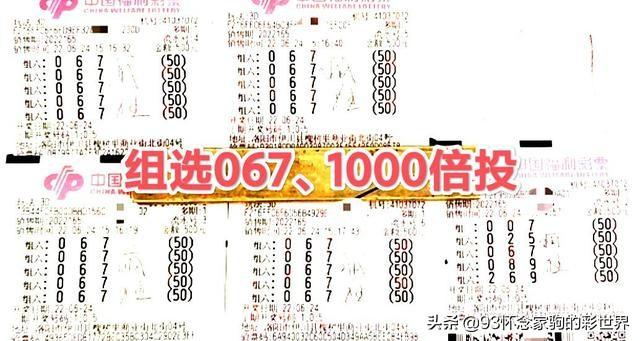 今日3D最新晒票，揭秘彩民的幸运时刻与理性投注之道今日3d最新晒票推荐