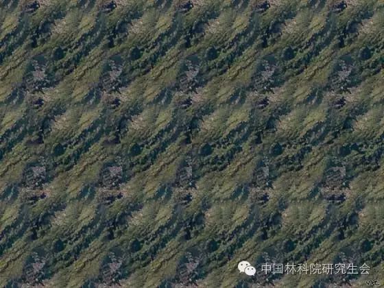 3D立体图，为何有人无法察觉其奥秘？3d立体画为什么怎么都看不出来