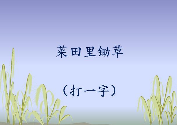 晚秋字谜的魅力与探索查一下晚秋字谜是什么