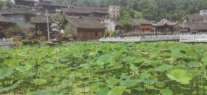 彩民周刊晓沪预测，理性与智慧的双重考量彩民周刊小荷最新推荐