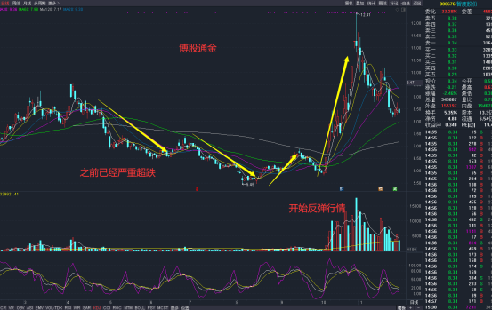 新手如何看懂股票图，从入门到精通的实战指南新手如何看股票