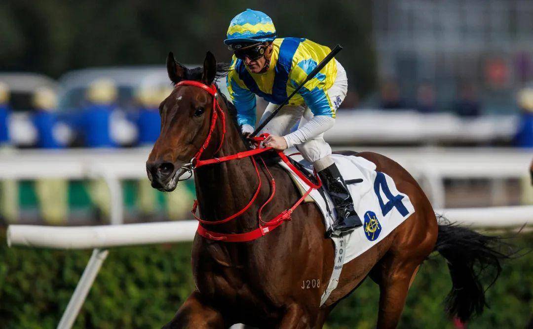 2018年香港马全年资料回顾，赛场风云与文化盛宴2021年香港马资料大资料大全一