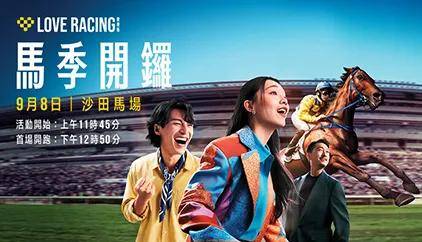 探索香港正版马会资料，一场关于智慧与乐趣的盛宴香港正版马会全年免费资料