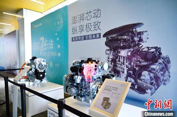 探索正版与特选一肖，数字时代的文化保护与创新四不像一肖图中特