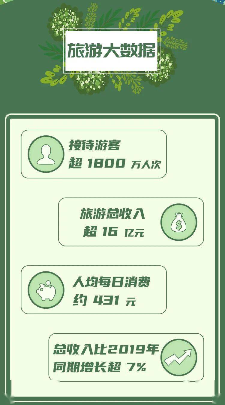 澳门新纪元，203年开奖记录的深度剖析与展望新澳门开奖结果2023开奖记录今晚