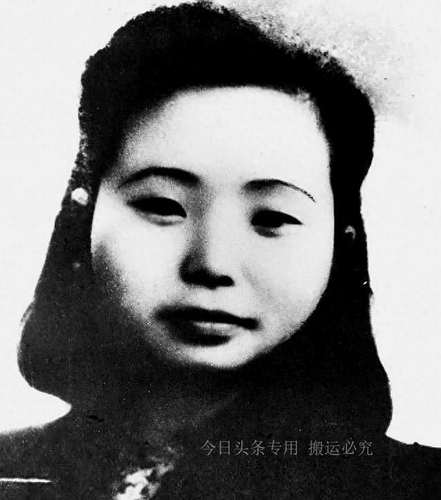 探索香港历史，近15期记录的深度剖析香港历史记录近15期查询表