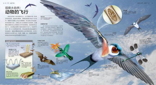 探索无翼鸟图库，数字世界的奇妙飞行者
