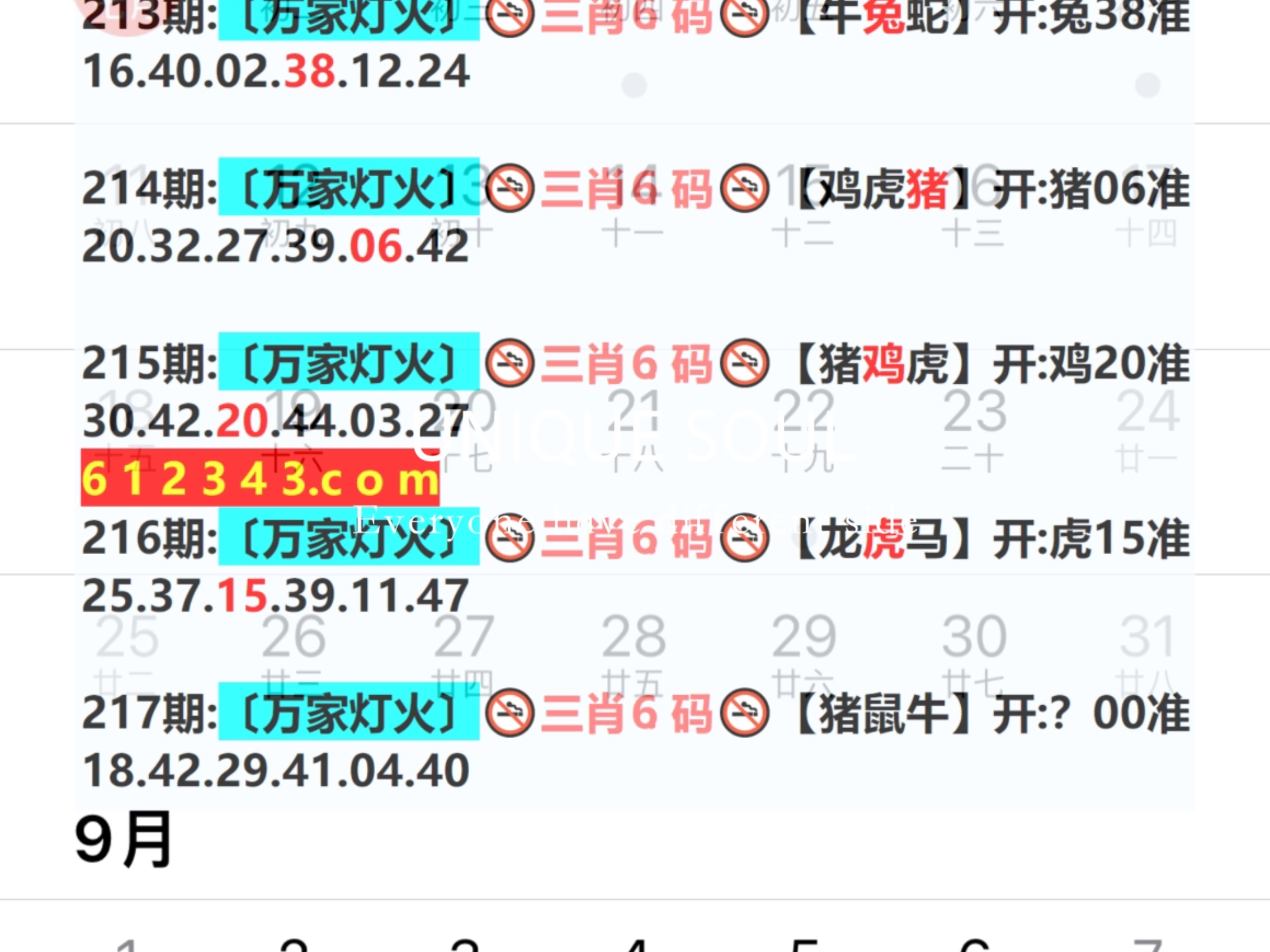 蓝月亮四肖八码精选资料，揭秘数字背后的玄机蓝月亮四肖八码精选资料一首页