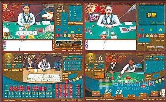 揭秘香港6合宝典资料，一场数字时代的赌博迷雾与法律边缘游走？深度剖析其背后的真相和风险警示香港6合宝典资料图片正版大全