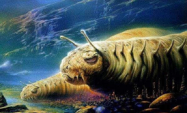 2025年5月8日 第5页