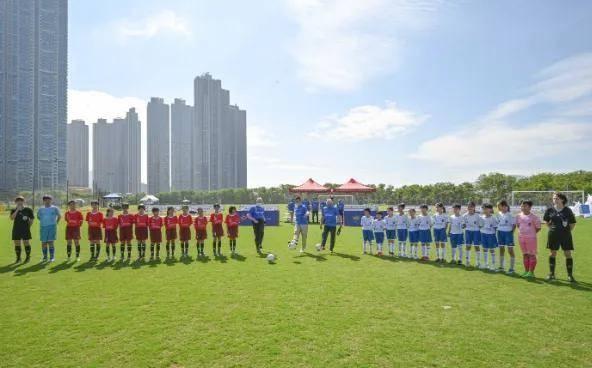 2019香港马会资料大全，免费资源与精彩赛事概览
