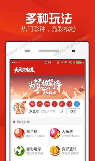 204年新澳门天天开好彩大全，揭秘正版彩票的魅力与风险2025新澳门天天精准免费大全