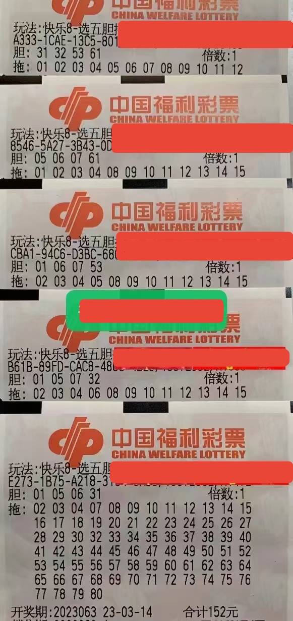 福利彩票2039，梦想与希望的桥梁福利彩票2023031期中奖号码查询结果