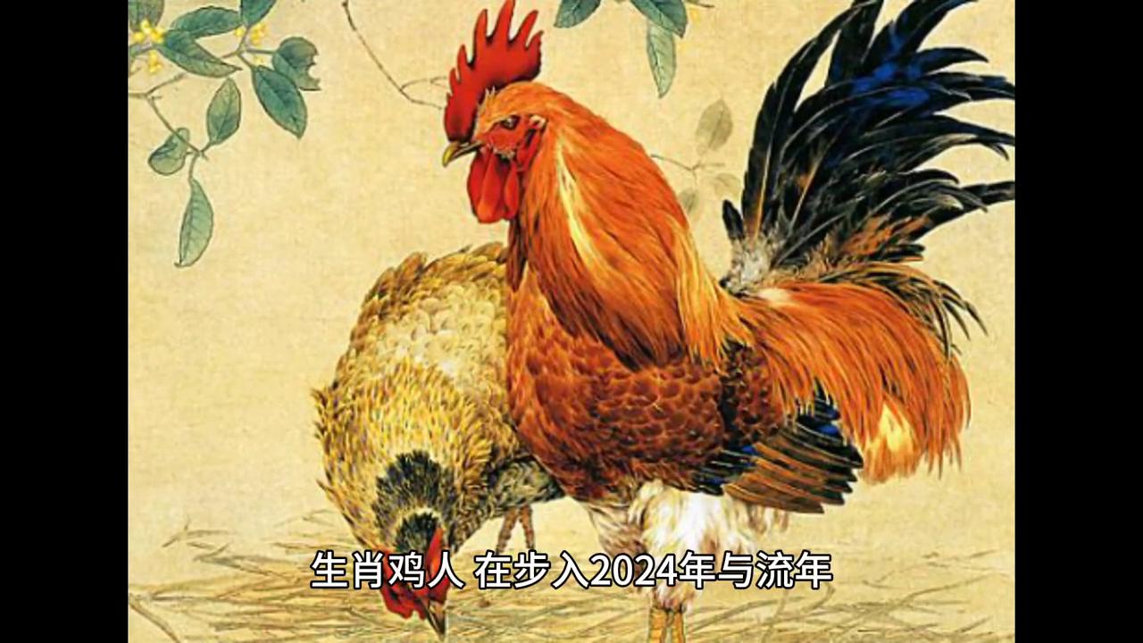 探索香港六合走势的奥秘，数据驱动下的理性分析香港6合走势分析图最新