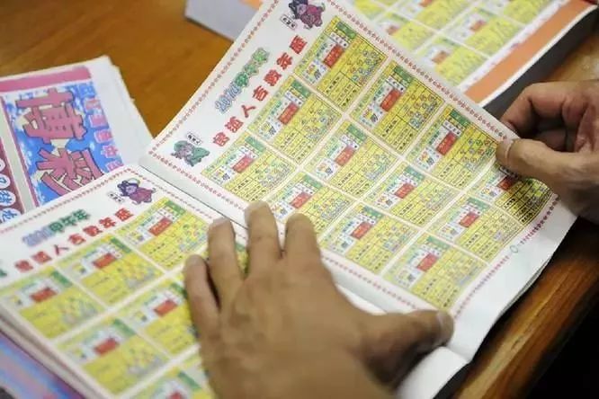2043年香港六合资料大全，未来趋势与最新版解析